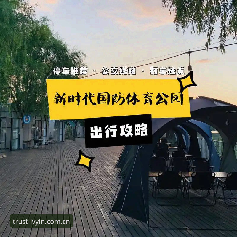 绿茵体育官网 绿茵体育平台使用指南:从下载到问题解决的完整攻略